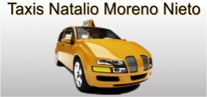 www.taxinataliomorenonieto.es taxisreserva.com