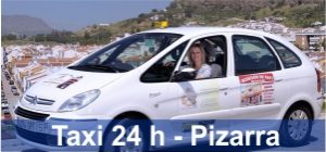 taxispizarra.com taxisreserva.com